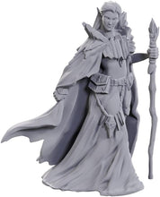 Load image into Gallery viewer, Dungeons &amp; Dragons 50th Anniversary Unpainted Miniatures Elves #90734