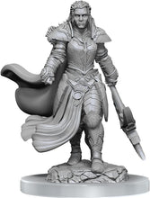 Load image into Gallery viewer, Dungeons &amp; Dragons Miniatures Orc Fighters Female #90405