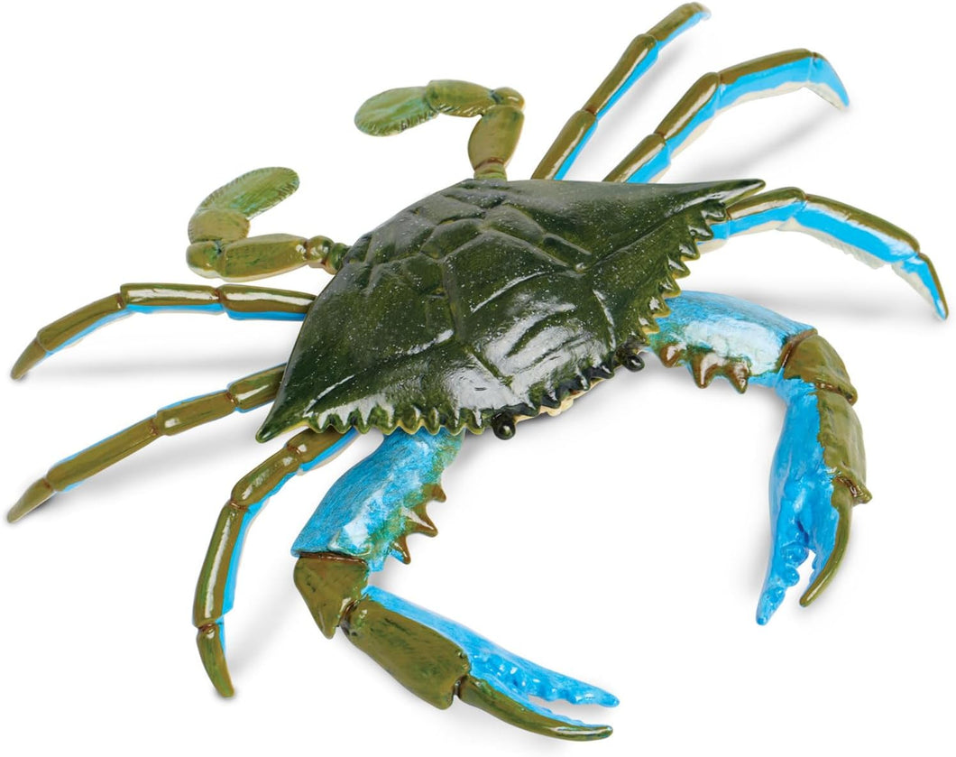 Safari Blue Crab