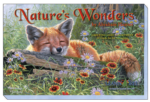 Leanin Tree Nature's Wonders by Abraham Hunter Greeting Card Assortment #90808