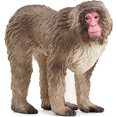 Schleich Japanese Macaque Figure