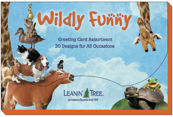 Leanin Tree Wildly Funny Greeting Card Assortment #90805