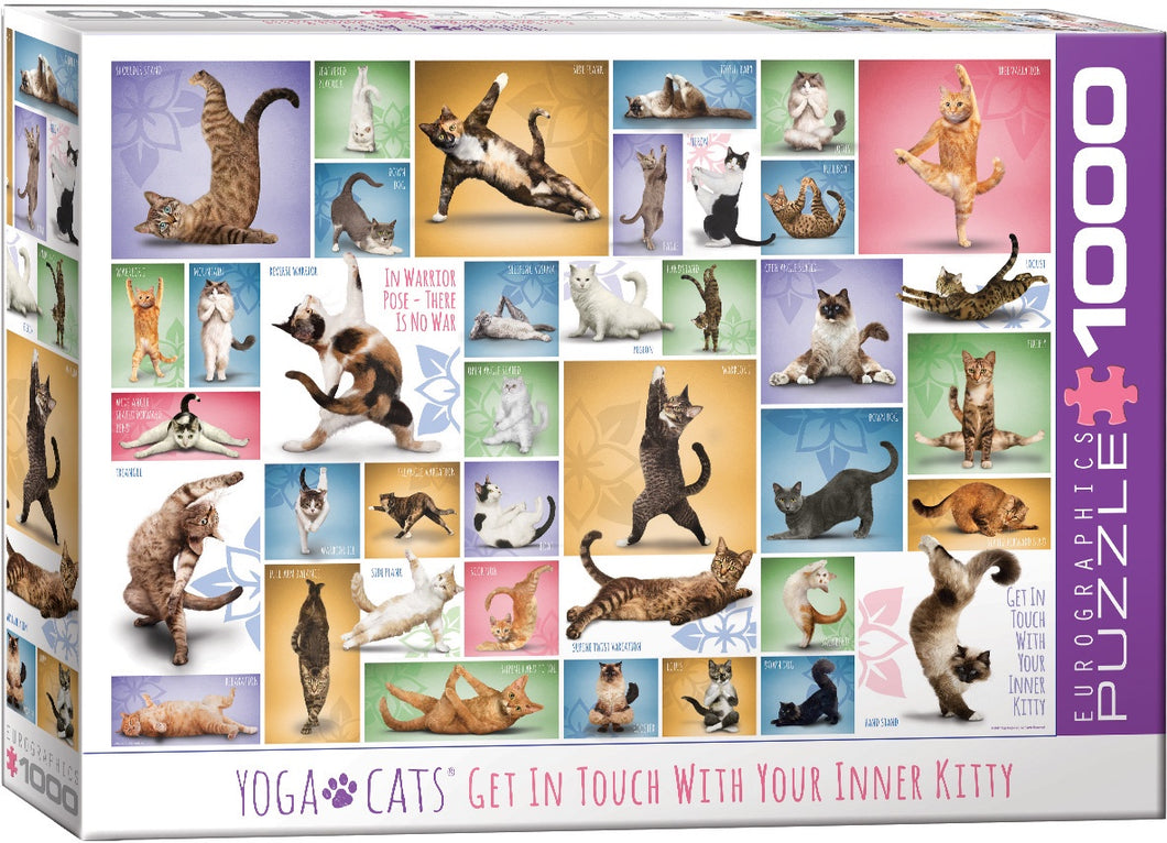 Eurographics Yoga Cats 1000pc Puzzle