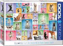 Load image into Gallery viewer, Eurographics Yoga Dogs 1000pc Puzzle