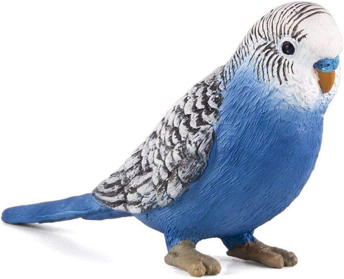 Mojo Blue Budgerigar