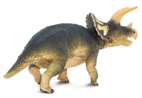 Safari Triceratops Dinosaur