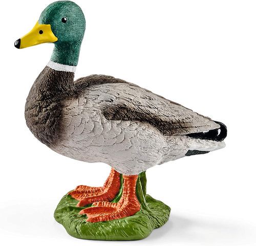 Schleich Farm World Mallard Drake Duck Figure