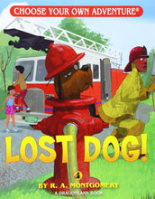 Load image into Gallery viewer, Dragonlark Choose Your Own Adventure Book- Lost Dog! #17