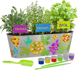 Paint & Play Pizza Herb Growing Kit