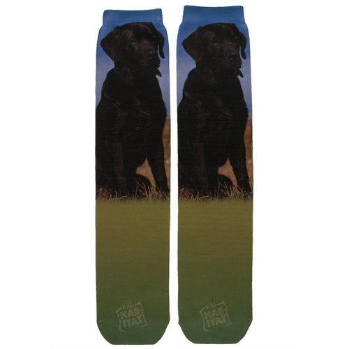 Black Lab Retriever Socks