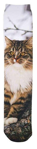 Wild Habitat Maine Coon Cat Sublimation Tube Socks