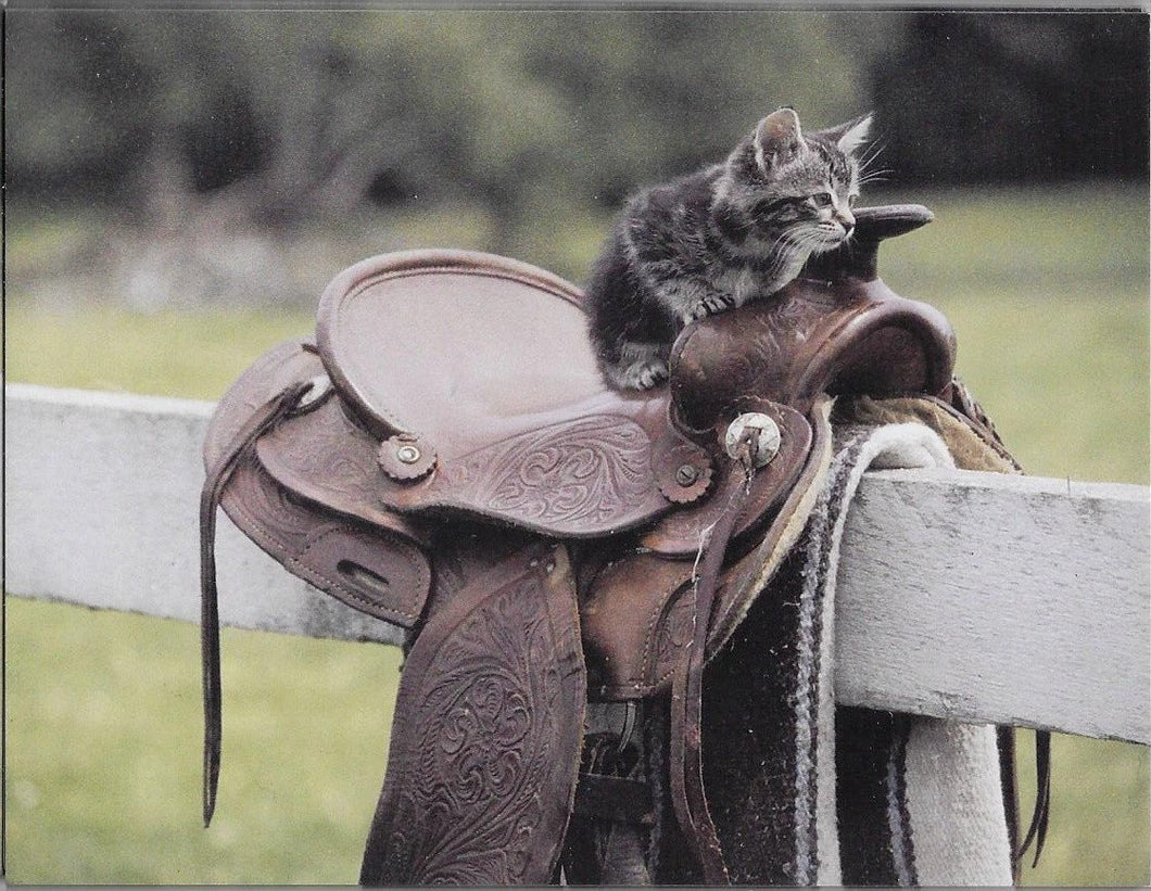 Kitten and Saddle 8 Blank Notecards with Envelopes