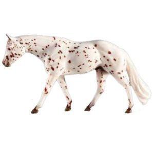 Lil Ricky Rocker- Appaloosa Champion