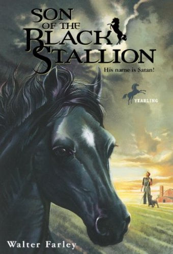 Son of the Black Stallion