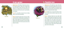 Load image into Gallery viewer, The Bug Book and Bug Bottle