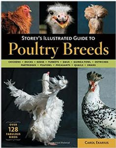 Storey's Illustrated Guide to Poultry Breeds: Chickens, Ducks, Geese, Turkeys, Emus, Guinea Fowl, Ostriches, Partridges, Peafowl, Pheasants, Quails, Swans