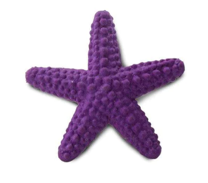 Good Luck Minis- Starfish